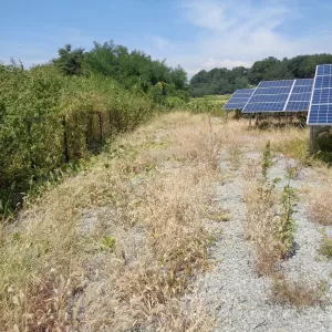 産業用太陽光発電58KW 住建 第2発電所 除草剤のサムネイル